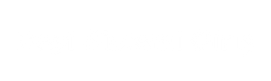 b2b Sistemi (2)